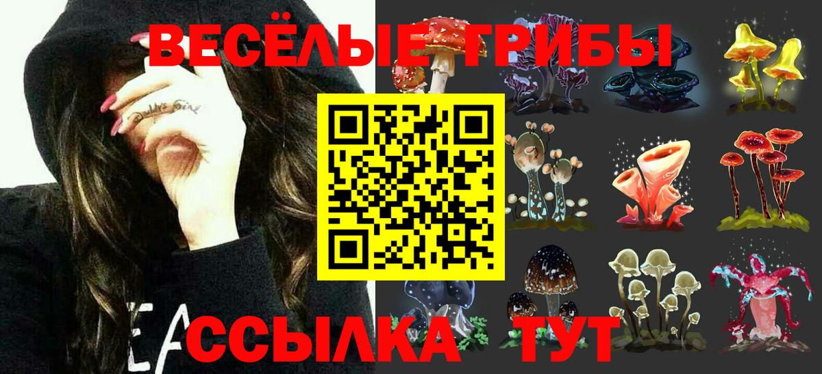 Галлюциногенные грибы Psilocybine cubensis Похвистнево