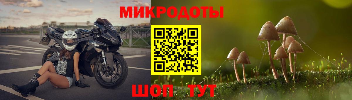 Псилоцибиновые грибы мухоморы  Вход с VPN  Псилоцибиновые грибы GOLDEN TEACHER  Похвистнево 